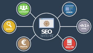 Conteúdo SEO: seus textos são rastreáveis e indexáveis pelos buscadores?